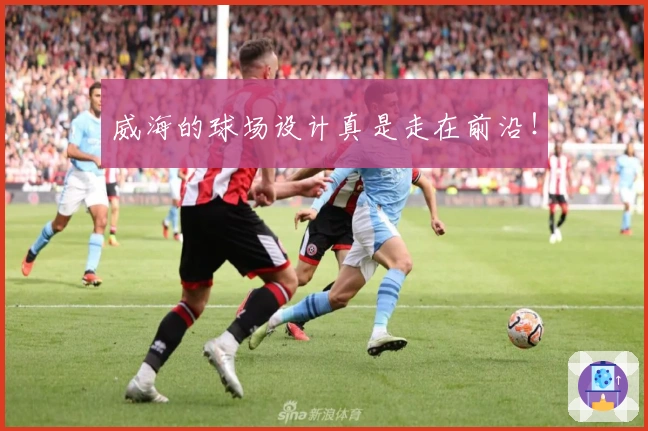 威海的球场设计真是走在前沿！