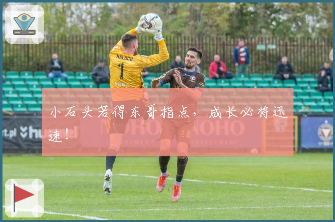 小石头若得东哥指点，成长必将迅速！